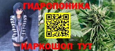 сатива Гусев